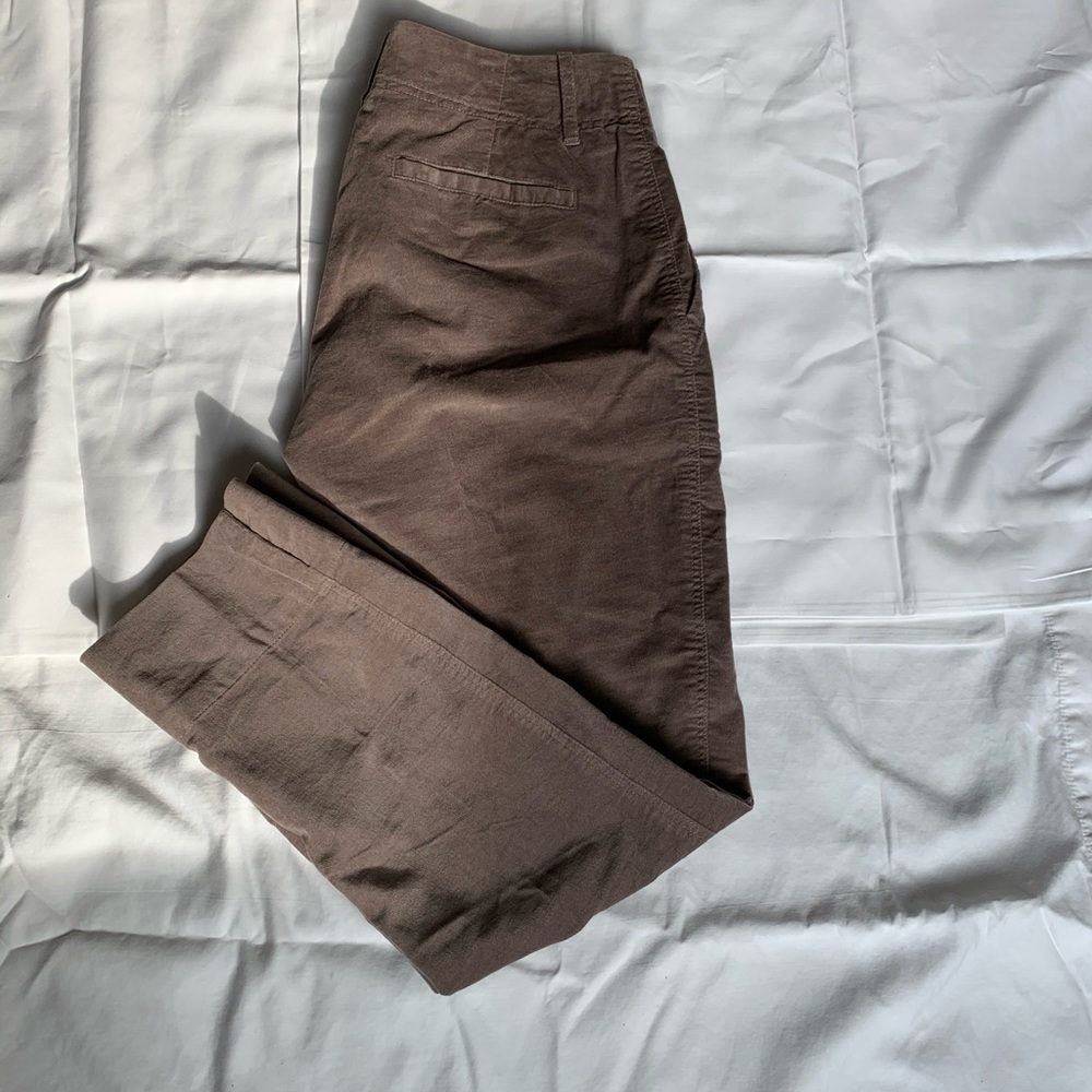 Peruvian Connection Cropped Velveteen pants